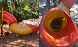 Parque roto apeligra a niños en Franco