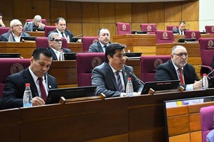 DIRECTOR DE LA EBY INFORMÓ AL SENADO SOBRE ACUERDO ENERGÉTICO CON ARGENTINA