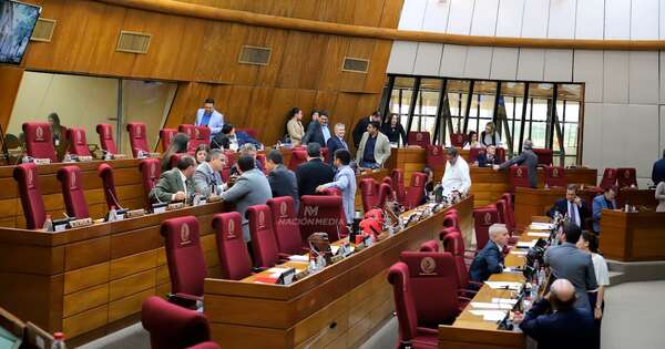 La Nación / Diputada ratifica plazos para tratar intervenciones: “No hay ningún apuro”