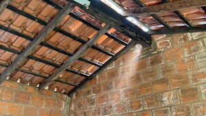Escuela rural de San Pedro está al borde del colapso y nadie hace nada