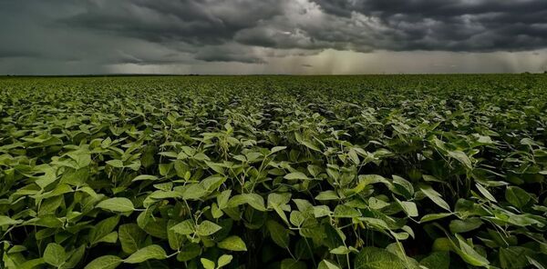 Uni贸n Europea clasifica como riesgo de deforestaci贸n est谩ndar a Argentina, Brasil y Paraguay