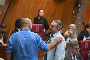 Intervención: En sesión exprés de 15 minutos, aplanadora cartista aprueba apurar conformar comisiones - Política - ABC Color