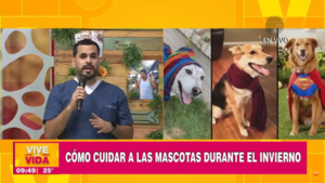 ¿Cómo cuidar a las mascotas durante el invierno?