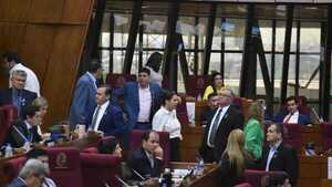 Diputados acuerdan conformar comisiones para la intervención de Asunción y CDE