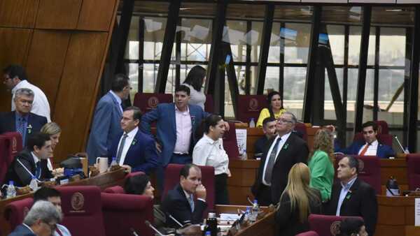 Diputados acuerdan conformar comisiones para la intervención de Asunción y CDE