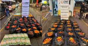 Más de 77.000 kilos de productos de contrabando fueron incautados en CDE en los primeros 5 meses - .::Agencia IP::.