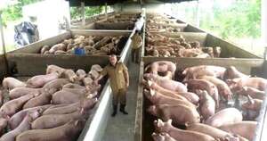 La Nación / Impulsan la formalización de pequeños y medianos productores para nuevas oportunidades