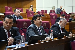Director de la EBY expone ante senadores detalles del acuerdo energético con Argentina