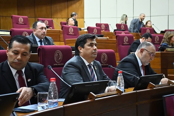 Director de la EBY expone ante senadores detalles del acuerdo energético con Argentina