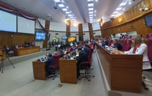 Diputados dio entrada a pedido de intervención de las comunas de Asunción y CDE