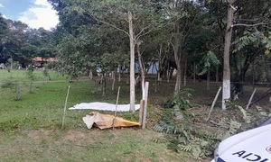 Jardinero muere tras contacto con tendido eléctrico en Coronel Oviedo - OviedoPress