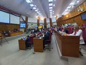 Aprueban conformar comisiones de intervención para las municipalidades de Asunción y Ciudad del Este - San Lorenzo Hoy