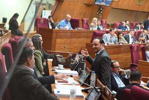 Diputados aprueba proyecto de protección de datos personales para que Senado arregle - Política - ABC Color