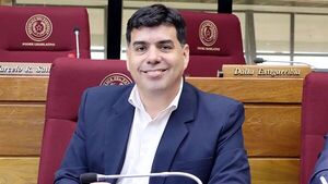 Diputado pide a sus colegas que no formen parte de las comisiones especiales de intervención