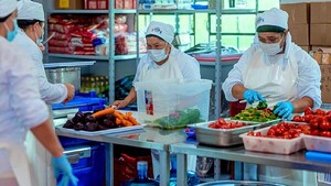 Agricultores no logran comercializar productos al programa Hambre Cero
