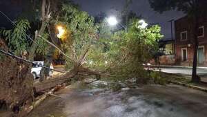 Tormenta dejó varios árboles caídos - Policiales - ABC Color