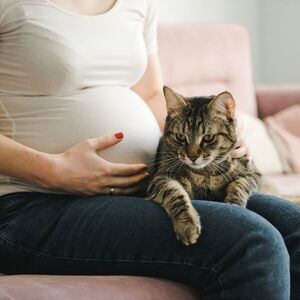 El IICS ofrece curso gratuito con enfoque científico y multidisciplinario sobre toxoplasmosis - .::Agencia IP::.