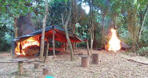 La Nación / Operativo Nueva Alianza: destruyen 11 campamentos e incautan 14.000 kilos de marihuana