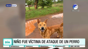 Niño víctima de ataque de un perro en Encarnación