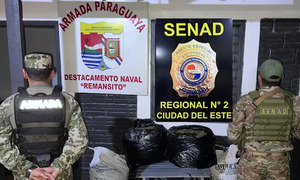 Narcos huyen y dejan casi 90 kilos de marihuana en Remansito - OviedoPress