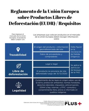 Argentina, Brasil y Paraguay, bajo la lupa europea por deforestación - La Clave