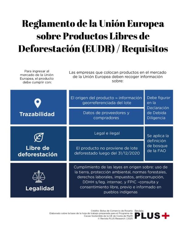 Argentina, Brasil y Paraguay, bajo la lupa europea por deforestación - La Clave