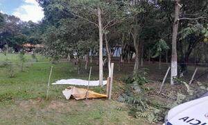 Tragedia en Coronel Oviedo: Hombre murió electrocutado mientras podaba un árbol – Prensa 5