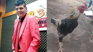 Le robaron su gallo al Principito y hasta pagó por su rescate