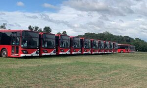 Lanzan llamado para la operación de buses eléctricos