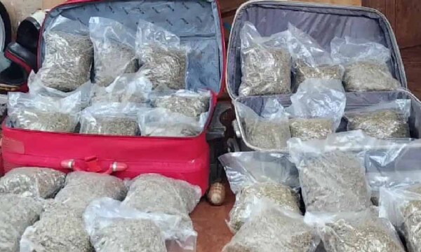 Policía captura a portugués tras incautación de drogas en Presidente Franco – Prensa 5