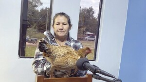 Doña regaló gallina para rifa de ayuda a su ex que está enfermo