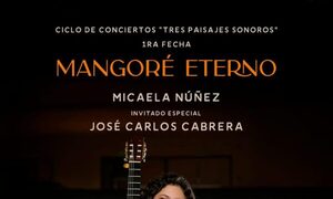 ¡Guitarrista promete conciertazo en Ykuá Bolaños!