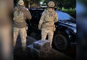 Incautan 120 kilos de marihuana a orillas del río Paraná - ABC en el Este - ABC Color