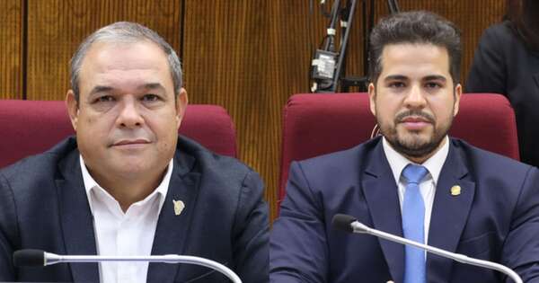 La Nación / Diputados exhortan a Itaipú a impulsar estudios energéticos estratégicos para el país