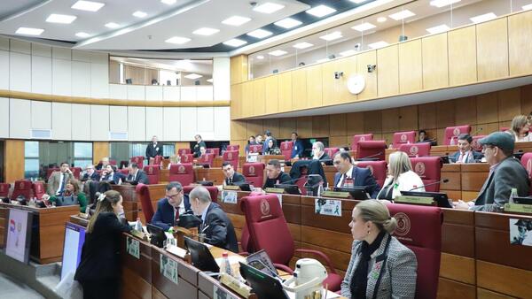 Senado modifica proyecto de ley de defensa animal con penas de hasta 6 años de cárcel