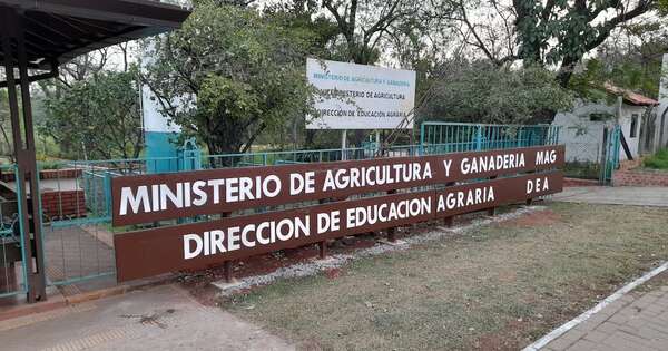 La Nación / MAG e IICA refuerzan cooperación para desarrollo agrícola y rural