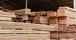 La Nación / Paraguay logró nuevo récord en envío de madera contrachapada en abril