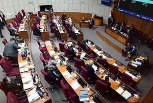 Senado aprueba crédito de Taiwán para  “Che Róga Porã” - Política - ABC Color