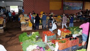 Preocupa a los hortigranjeros la falta de invernaderos ante posibles heladas