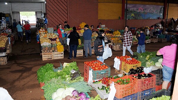 Preocupa a los hortigranjeros la falta de invernaderos ante posibles heladas