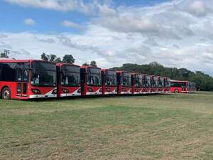 Sin reforma del transporte, licitan operación de los buses eléctricos donados por Taiwán - Economía - ABC Color