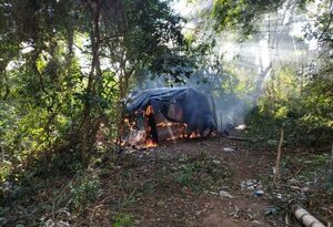 Desmantelan estructuras narco y eliminan 10.000 kilos de marihuana de Reserva del Mbaracayú