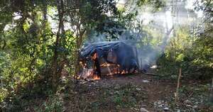 Diario HOY | En bosque protegido, pillan ocho campamentos narco