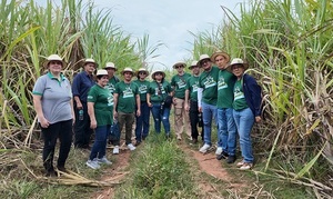 Paraguay, líder en producción de azúcar orgánica, busca apoyo legislativo
