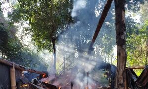 Golpe al narco y a la deforestación: desmantelan 8 campamentos en la Reserva Mbaracayú