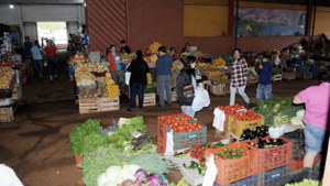 Hortigranjeros temen heladas sin invernaderos