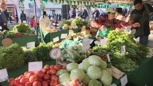 Aguardan fortalecimiento de la agricultura familiar campesina
