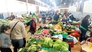 No todos los feriantes tienen invernaderos para proteger sus cultivos de las heladas - La Clave