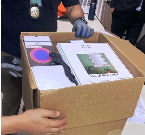 Los firulais pillaron droga en cuadros decorativos que llegaron de Miami