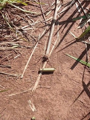 Atacan estancia en zona de Yasy Cañy, Canindeyú - 1000 Noticias